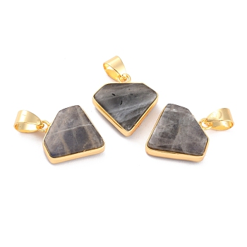 Natural Labradorite Pendants, with Golden Brass Findings, Diamond, 18~18.5x17x5mm, Hole: 6x4mm