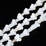Freshwater Shell Beads Strands, Bleach, Butterfly, Seashell Color, 7.5~8.5x10.5~12x2.5mm, Hole: 1mm, about 49~53pcs/strand, 13.54 inch~14.88 inch(34.4cm~37.8cm)(SHEL-T009-A18)
