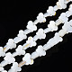 Freshwater Shell Beads Strands(SHEL-T009-A18)-1