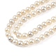 Electroplated Natural Freshwater Shell Beads Strands(BSHE-G036-22)-3