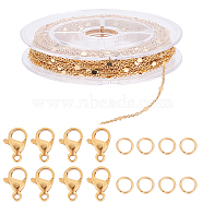 DIY Chain Bracelet Necklace Making Kits, Including Brass Link Chain & Jump Rinsg, 304 Stainless Steel Clasps, Golden, Chain: 32.8 Feet(10m)/set(DIY-BBC0001-09)