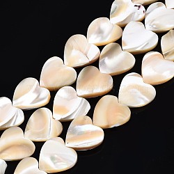 Natural Trochid Shell/Trochus Shell Bead Strands, Heart, 12~13x12x2.5~4mm, Hole: 0.5mm, about 35pcs/strand, 15.55 inch~15.94 inch(39.5~40.5cm)(SSHEL-N034-92A-01)
