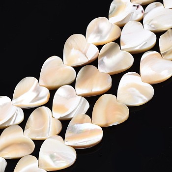 Natural Trochid Shell/Trochus Shell Bead Strands, Heart, 12~13x12x2.5~4mm, Hole: 0.5mm, about 35pcs/strand, 15.55 inch~15.94 inch(39.5~40.5cm)