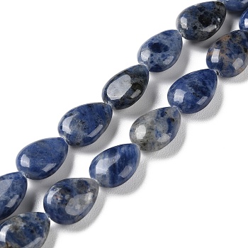 Natural Sodalite Beads Strands, Flat Teardrop, 13~14x9.5~10x5~5.5mm, Hole: 1.2mm, about 28pcs/strand, 15.16''(38.5cm)