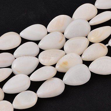 Natural White Shell Beads Strands(PBB263Y-1)-3