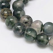Natural Moss Agate Beads Strands, Round, Sea Green, 8mm, Hole: 1mm, about 48pcs/strand, 15.5 inch(G-F342-02-8mm)
