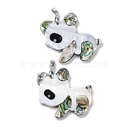 Natural Paua Shell & Black Lip Shell & White Shell Pendants, Panda Charms with Stainless Steel Color Tone Stainless Steel Snap on Bails, 44x47x4~4.5mm, Hole: 6x4.2mm(FIND-A041-02F-P)