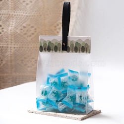 Plastic Transparent Gift Bag, Storage Bags, Self Seal Bag, Top Seal, Rectangle, with Cartoon Card and Sling, Hole and Nail, Dark Sea Green, 27x13x6cm, 10set/bag(OPP-B002-I09)