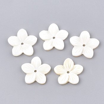 Freshwater Shell Beads, Flower, White, 22~23x23~24x3~3.5mm, Hole: 2mm