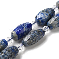 Natural Lapis Lazuli Beads Strands, with Seed Beads, Faceted, Oval, 20.5~26x8.5~12mm, Hole: 1mm, about 13~14pcs/strand, 15.35~15.55''(39~39.5cm)(G-H297-A02-01)