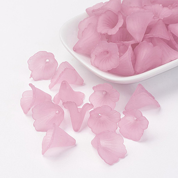 Transparent Acrylic Bead Caps, Trumpet Flower Beads, Frosted, Flower, Pink, 19~20x18~19x17mm, Hole: 1.5mm