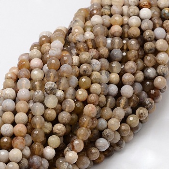 Faceted Round Natural Ocean Fossil Agate Bead Strands, 8mm, Hole: 1mm, about 50pcs/strand, 15.3 inch
