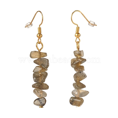 Natural Labradorite Chip Beaded Dangle Earrings(EJEW-JE04788-04)-3