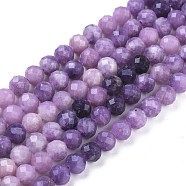 Natural Sugilite Beads Strands, Gradient Style, Round, Faceted, 6mm, Hole: 1mm, about 65pcs/strand, 14.96 inch(38cm)(G-R475-034)