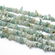 Natural Flower Amazonite Beads Strands, Chips, 5~8x5~8mm, Hole: 1mm, about 31.5 inch(G-O049-B-22)