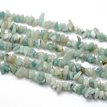 Natural Flower Amazonite Beads Strands, Chips, 5~8x5~8mm, Hole: 1mm, about 31.5 inch