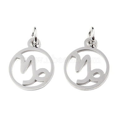 304 Stainless Steel Charms(STAS-T036-T513-A10)-2