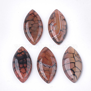 Natural Crackle Agate Cabochons, Dyed, Horse Eye, Sienna, 39x20x6mm(G-T125-07C)