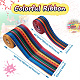 2Rolls 2 Styles Stripe Pattern Printed Polyester Grosgrain Ribbon(OCOR-TA0001-37K)-3