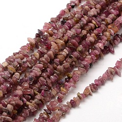 Natural Red Tourmaline Beads Strands, Chips, 6~10x4~6x3~5mm, Hole: 1mm, about 15~16 inch(X-G-P035-15)