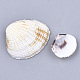 Clam Shell Beads(SSHEL-S258-51)-2