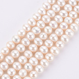 5mm Beige Round Pearl Beads(X-PEAR-E004-44)