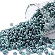 TOHO Round Seed Beads, Japanese Seed Beads, (1206) Opaque Turquoise Amethyst Marbled, 8/0, 3mm, Hole: 1mm, about 222pcs/10g(X-SEED-TR08-1206)