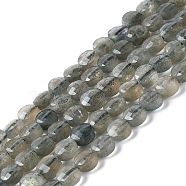 Natural Labradorite Beads Strands, Faceted, Flat Round, Grade AAA, 5~5.5x3mm, Hole: 0.9mm, about 79pcs/strand, 15.35''(39cm)(G-D0003-A95)