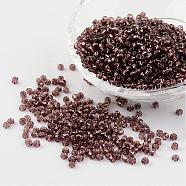 8/0 Glass Seed Beads, Silver Lined Round Hole, Round, Rosy Brown, 3mm, Hole: 1mm, about 1097pcs/50g(X-SEED-A005-3mm-56)
