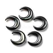 Natural Black Lip Shell Beads, Crescent Moon, Black, 11x12x3mm, Hole: 0.7mm(SHEL-M020-04A)