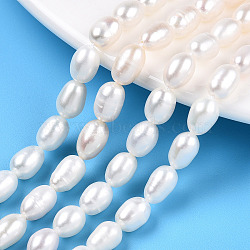 Natural Cultured Freshwater Pearl Beads Strands, Rice, Seashell Color, 7.3~11x6~6.5mm, Hole: 0.7~0.8mm, about 18~21pcs/strand, 7.09 inch(18cm)(PEAR-N012-06L)