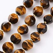 Natural Tiger Eye Beads Strands, with Seed Beads, Six Sided Celestial Dice, Faceted, 14~14.5x14~14.5mm, Hole: 1mm, about 13pcs/strand, 7.99 inch(20.3cm)(G-A030-B19-14mm-A)
