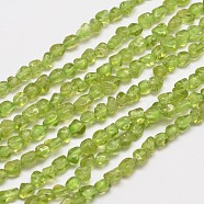 Natural Peridot Bead Strands, Nuggets, 4~5x5~7mm, Hole: 1mm, about 97pcs/strand, 15.3 inch(X-G-D803-25)