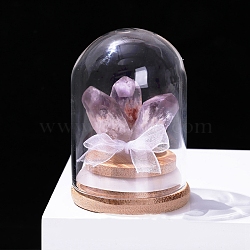 Natural Druzy Amethyst Ornament, with Glass Bell Jars for Home Desktop Decoration, 30~40mm(PW-WG60679-02)