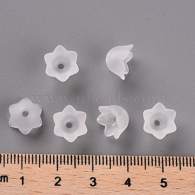 Transparent Acrylic Beads Caps(PL543-1)-4