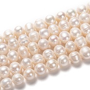 Natural Cultured Freshwater Pearl Beads Strands, Potato, Bisque, 10~11x11~12mm, Hole: 0.8mm, about 34pcs/strand, 14.17 inch(36cm)(PEAR-L033-91)
