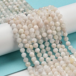Natural Rainbow Moonstone Beads Strands, Faceted, Round, 4.5mm, Hole: 0.7mm, about 88~89pcs/strand, 14.96~15.08''(38~38.2cm)(G-A097-A02-06)