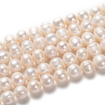 Natural Cultured Freshwater Pearl Beads Strands, Potato, Bisque, 10~11x11~12mm, Hole: 0.8mm, about 34pcs/strand, 14.17 inch(36cm)