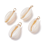 Natural Cowrie Shell Pendants, Shell Charms with Eco-Friendly Copper Wire, Real 18K Gold Plated, 27~30x14~15x7~7.5mm, Hole: 4mm(PALLOY-JF00940-01)
