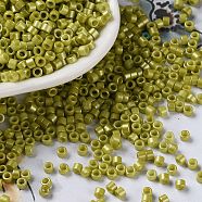 Baking Paint Glass Seed Beads, Cylinder, Olive, 2.5x2mm, Hole: 1.4mm, about 45359pcs/pound(SEED-S042-15A-07)