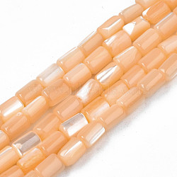 Natural Trochid Shell/Trochus Shell Beads Strands, Dyed, Column, Sandy Brown, 4~5x3~3.5mm, Hole: 0.9mm, about 77~78pcs/strand, 15.55 inch~15.75 inch(39.5~40cm)(SHEL-N003-26-B06)