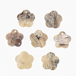 Natural Akoya Shell Pendants, Mother of Pearl Shell Pendants, Flower, Camel, 15x15.5x1mm, Hole: 1.2mm(X-SHEL-R048-024)