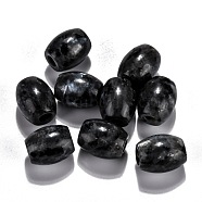 Natural Larvikite European Beads, Large Hole Beads, Barrel, 15~17x12~13.5mm, Hole: 4.5~5mm(G-F580-A11)
