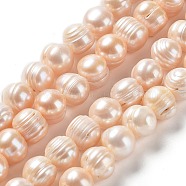 Natural Cultured Freshwater Pearl Beads Strands, Potato, Grade A, PeachPuff, 10~12x10~11mm, Hole: 0.6mm, about 35pcs/strand, 14.37''(36.5cm)(PEAR-E019-15)