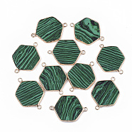 Synthetic Malachite Links connectors, with Golden Tone Brass Open Back Settings, Hexagon, 35x25x3.5mm, Hole: 2mm(G-S359-053H)