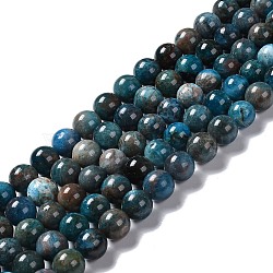 Natural Apatite Beads Strands, Round, 10mm, Hole: 1mm, about 38~40pcs/strand, 15.35''(39cm)(G-H287-01C)