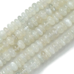 Natural White Moonstone Beads Strands, Rondelle, 6x2.5~4mm, Hole: 0.7mm, about 112pcs/strand, 15.59''(39.6cm)(G-A092-F02-02)