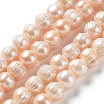 Natural Cultured Freshwater Pearl Beads Strands, Potato, Grade A, PeachPuff, 10~12x10~11mm, Hole: 0.6mm, about 35pcs/strand, 14.37''(36.5cm)