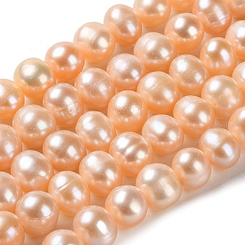 Natural Cultured Freshwater Pearl Beads Strands, Potato, Grade 3A+, Sandy Brown, 7~8x6.5~7.5mm, Hole: 0.5mm, about 59pcs/strand, 15.55 inch(39.5cm)