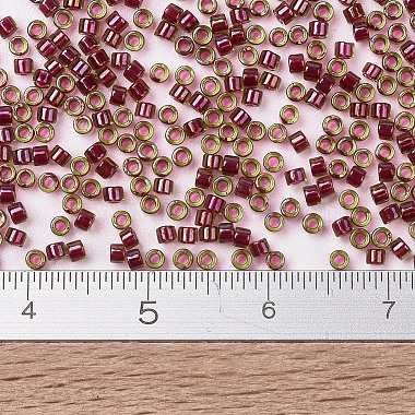 MIYUKI Delica Beads(X-SEED-J020-DB1748)-3